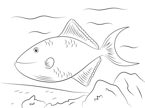 Red Toothed Triggerfish Coloring Page